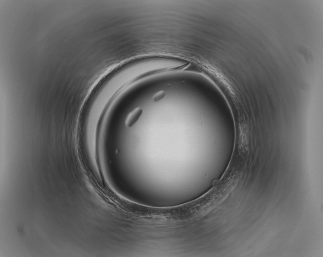 X0000115820580200911131446