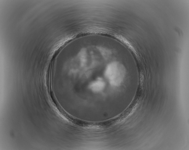 X0000115820581200911131446