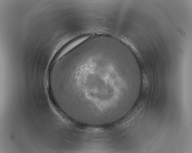 X0000115820582200911131446