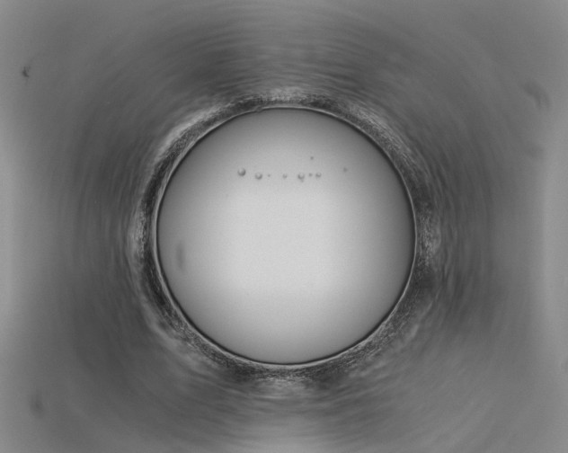 X0000115820583200911131446