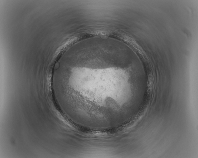 X0000115820585200911131446