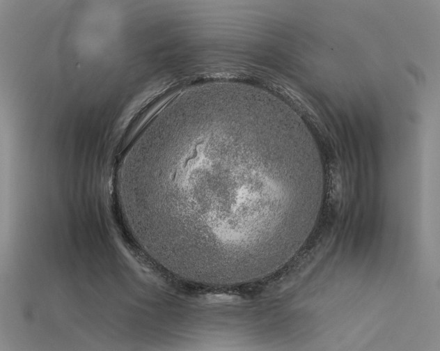 X0000115820586200911131446