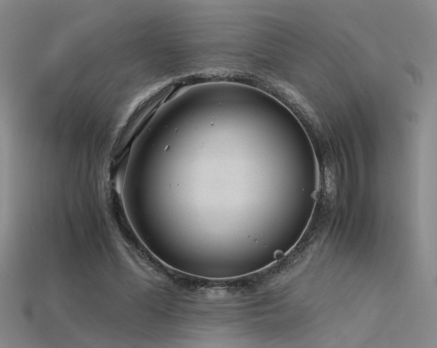 X0000115820588200911131446