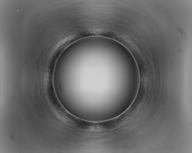 X0000115820591200911131446