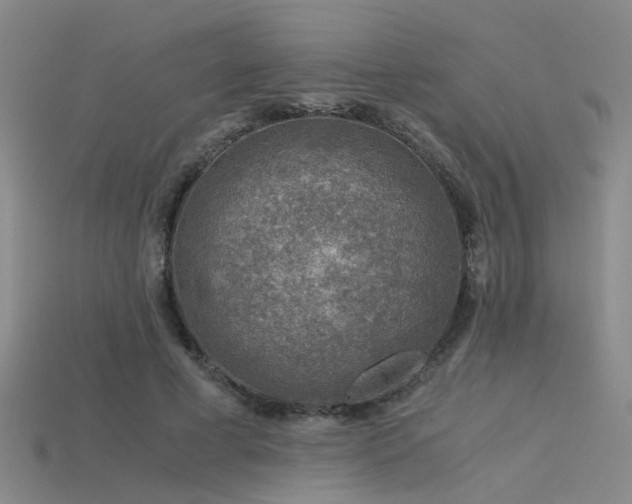 X0000115820593200911131446