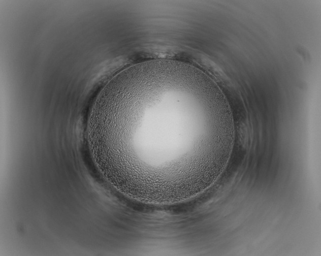 X0000115820594200911131446