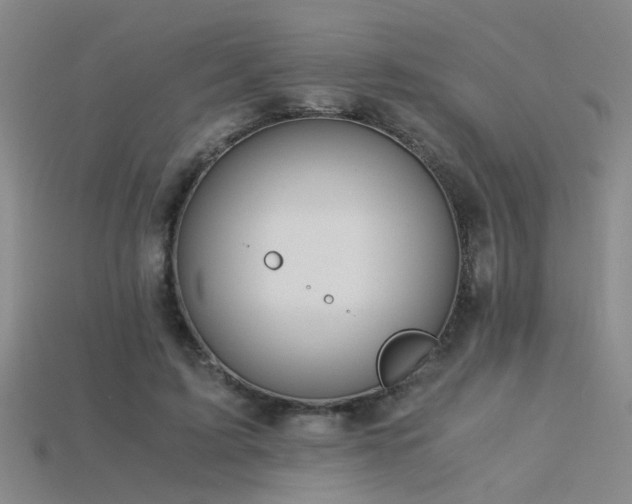 X0000115820595200911131446