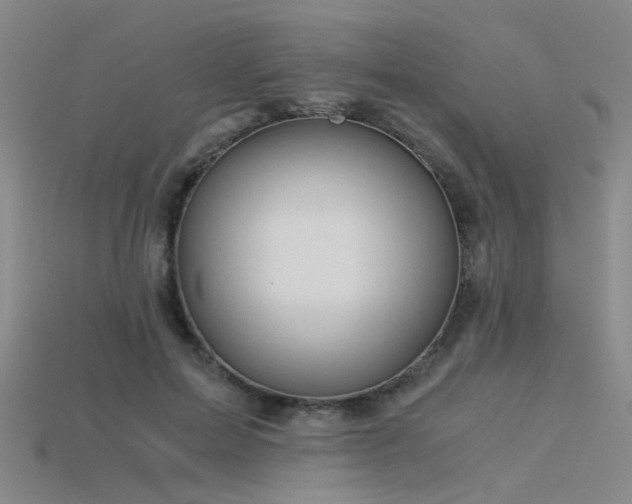 X0000115820599200911131446