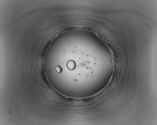 X0000115820605200911131446