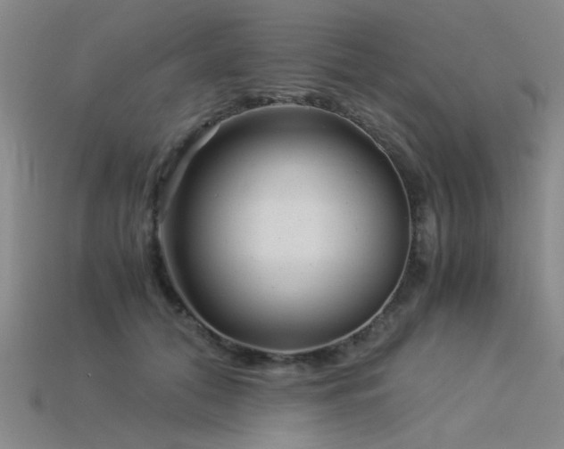 X0000115820608200911131446