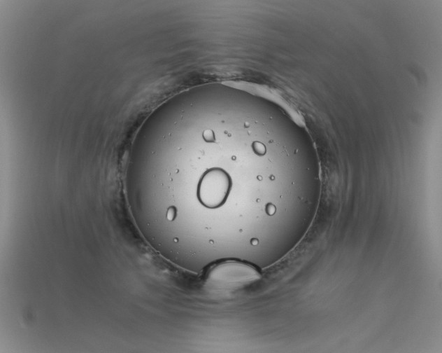 X0000115820609200911131446