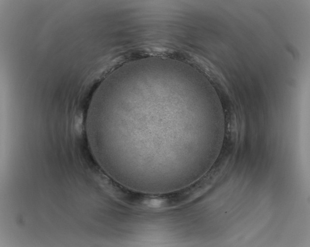 X0000115820610200911131446