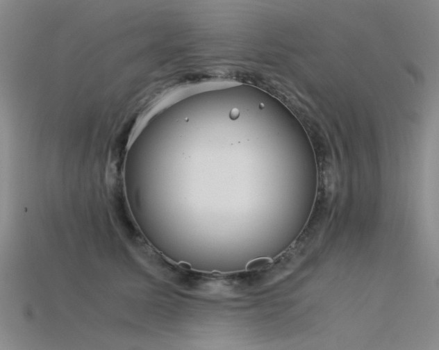 X0000115820611200911131446