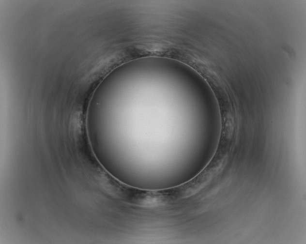 X0000115820612200911131446