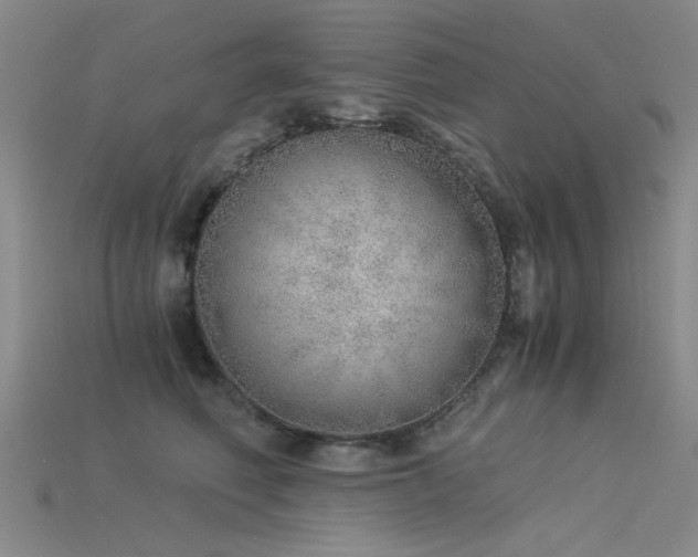 X0000115820614200911131445