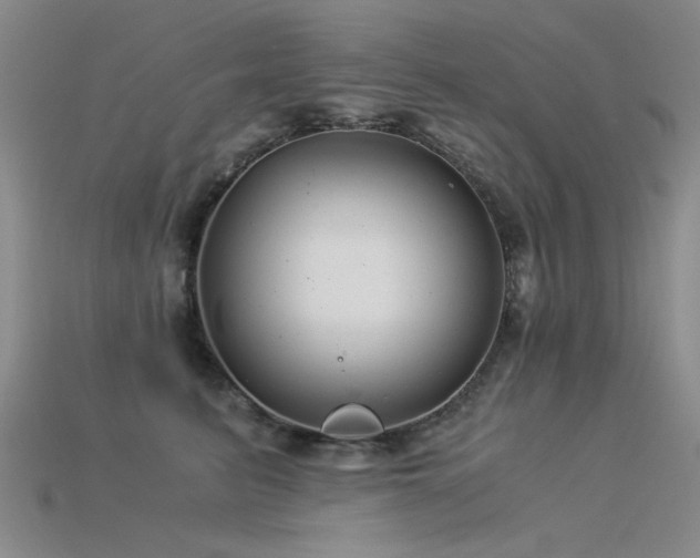 X0000115820615200911131445