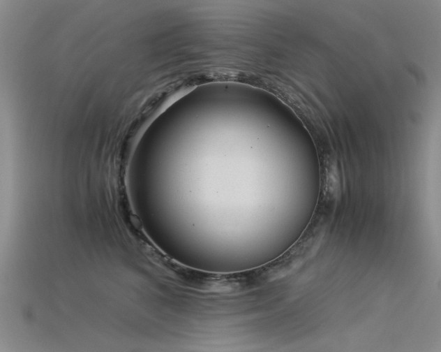 X0000115820616200911131445