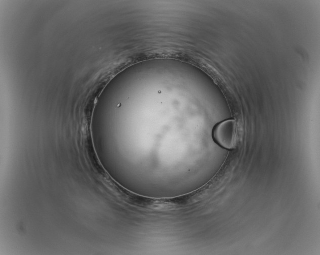 X0000115820617200911131445