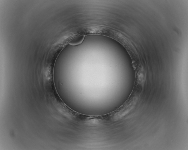 X0000115820620200911131445