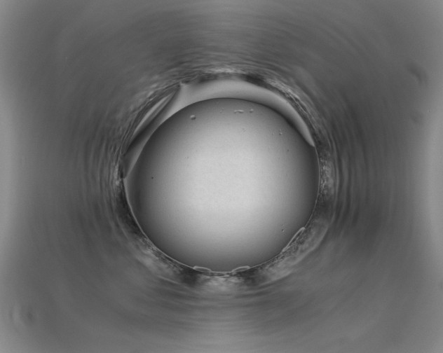 X0000115820621200911131445