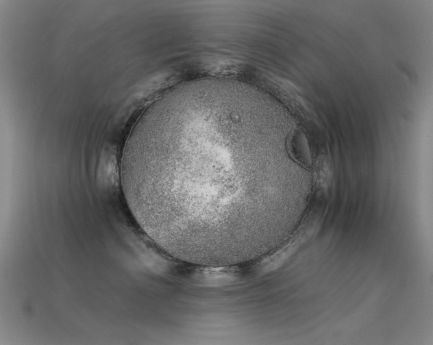 X0000115820622200911131445