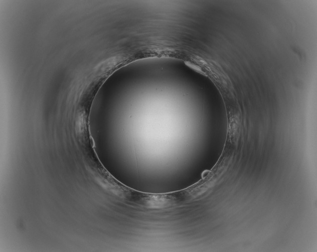 X0000115820623200911131445