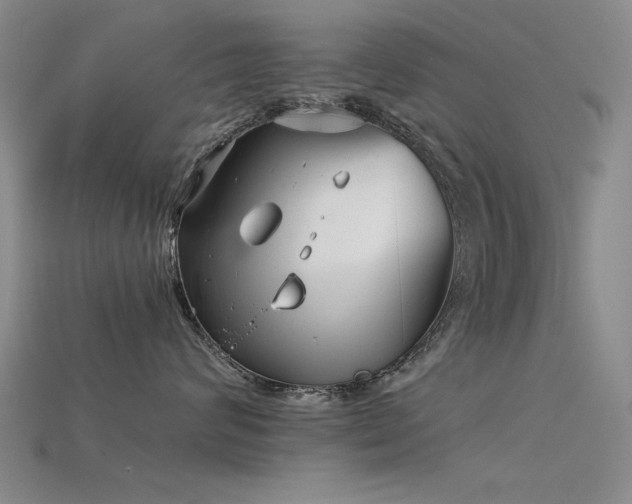 X0000115820624200911131445