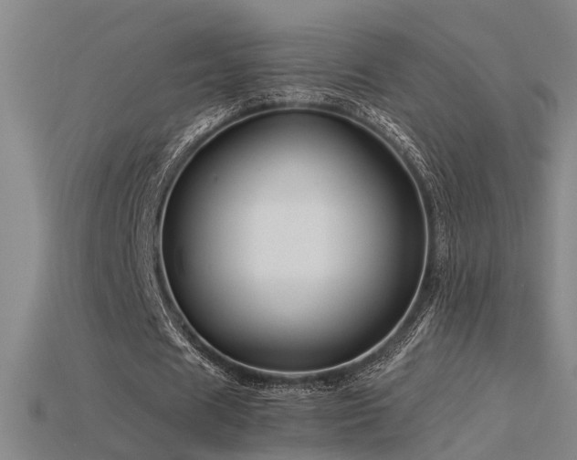 X0000115820625200911131445