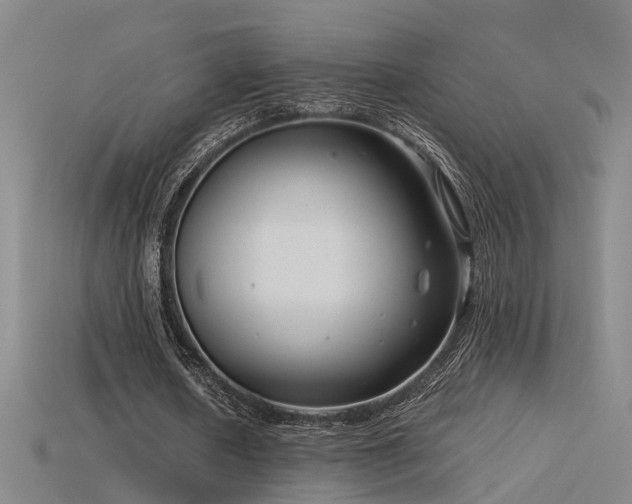 X0000115820626200911131445