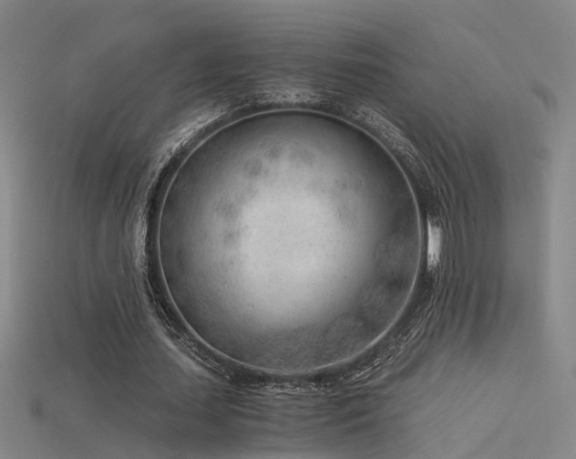 X0000115820627200911131445