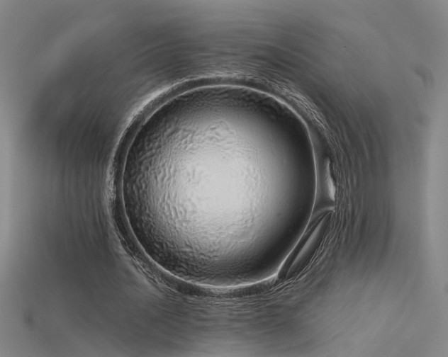 X0000115820628200911131445