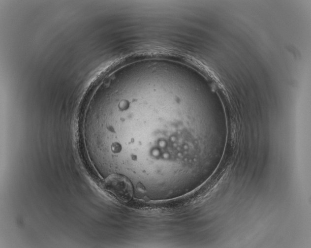 X0000115820629200911131445