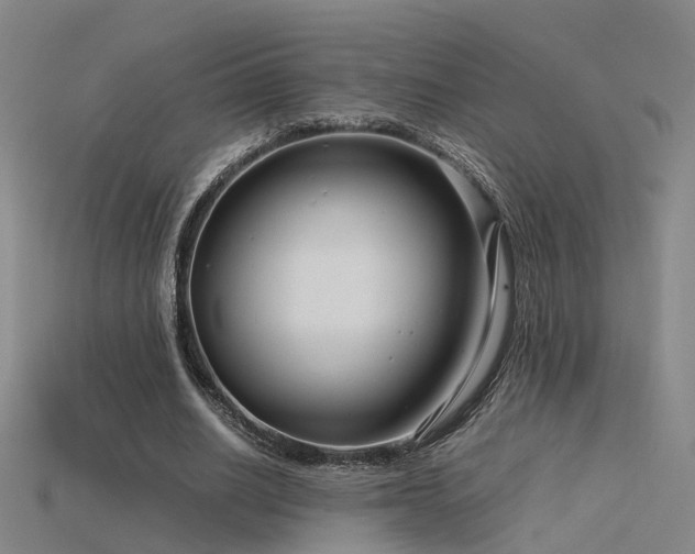 X0000115820630200911131445