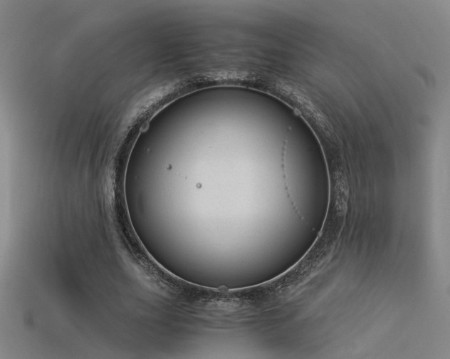 X0000115820631200911131445