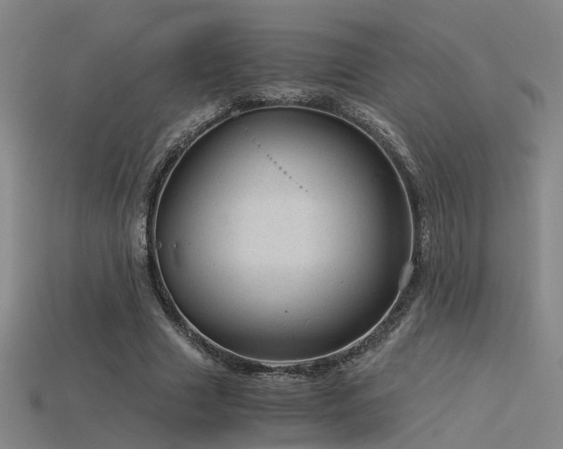 X0000115820633200911131445