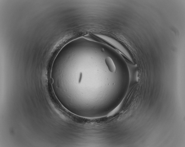 X0000115820634200911131445