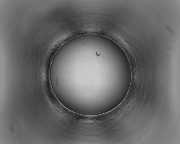 X0000115820635200911131445