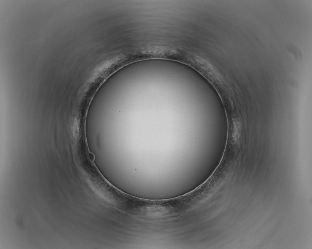 X0000115820636200911131445