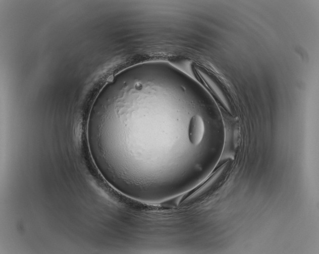 X0000115820637200911131445