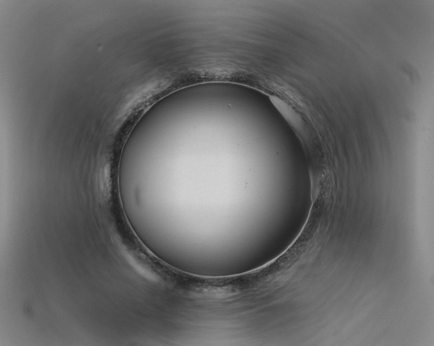 X0000115820638200911131445