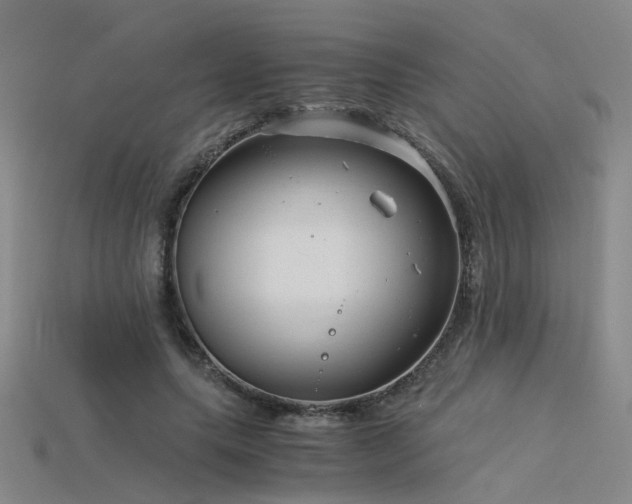 X0000115820639200911131445