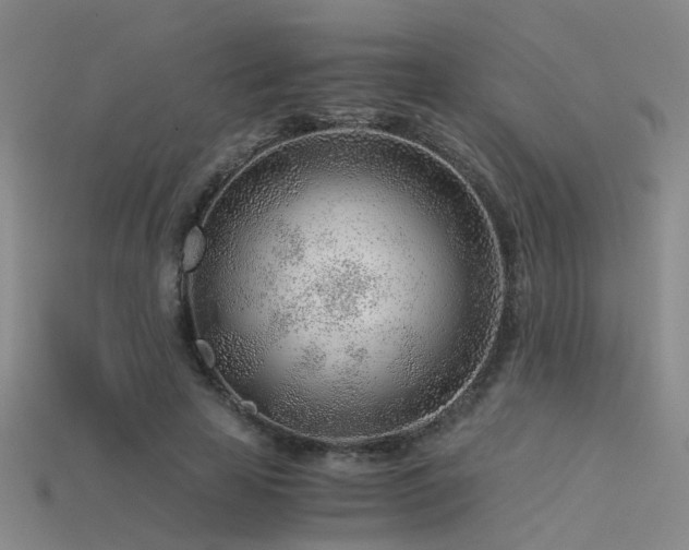 X0000115820641200911131445