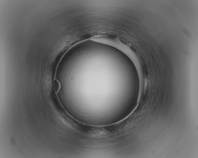 X0000115820642200911131445