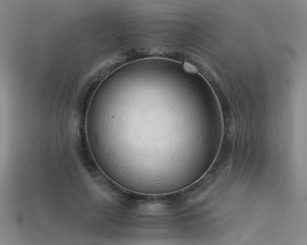 X0000115820643200911131445