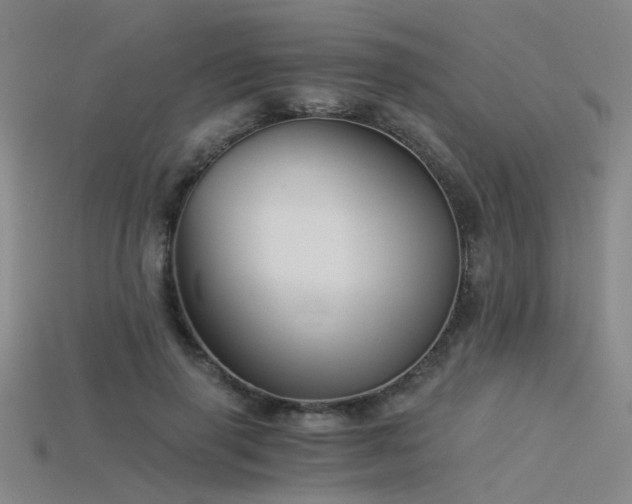 X0000115820645200911131445