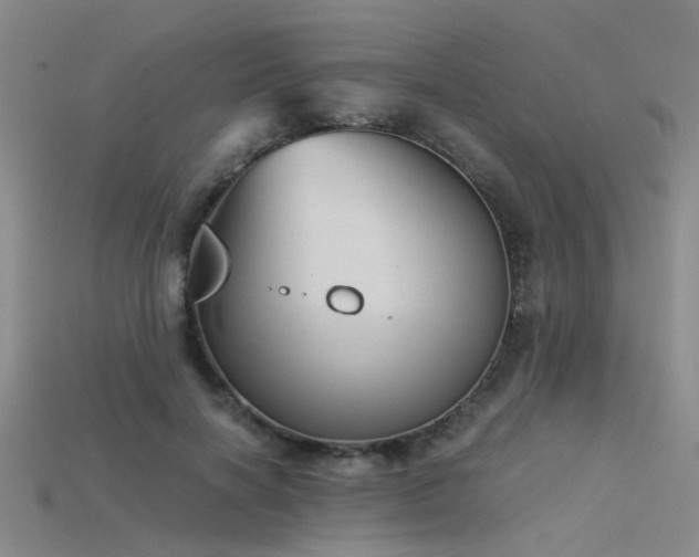 X0000115820646200911131445