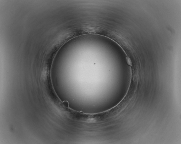 X0000115820647200911131445