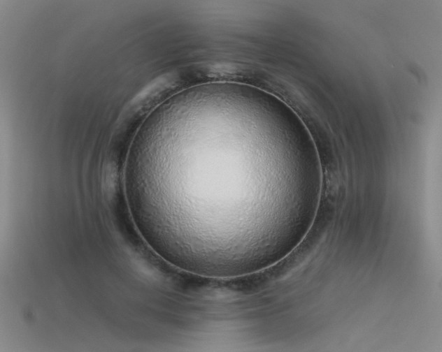 X0000115820648200911131445