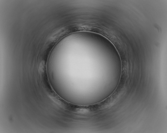 X0000115820649200911131445