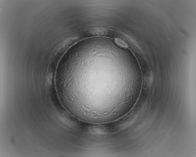 X0000115820652200911131445